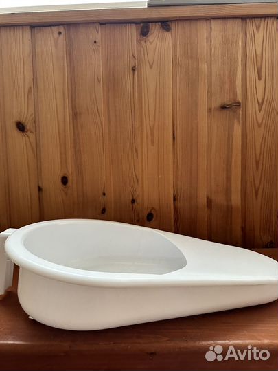 Утка медицинская