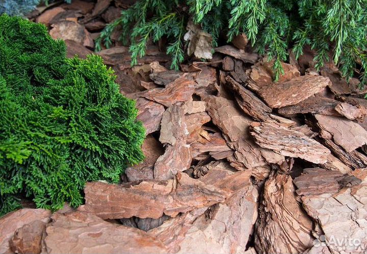 Мульча из коры лиственницы 60