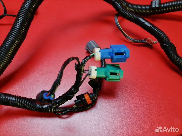 Проводка двигателя Ford Focus CB4 qqdb 2008