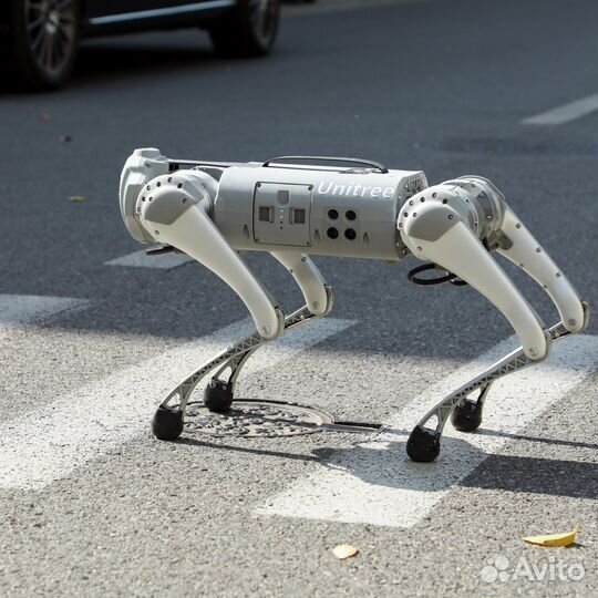 Unitree Go1 Pro