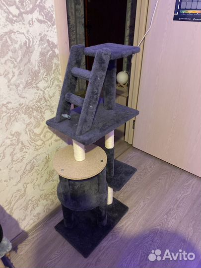 Когтеточка