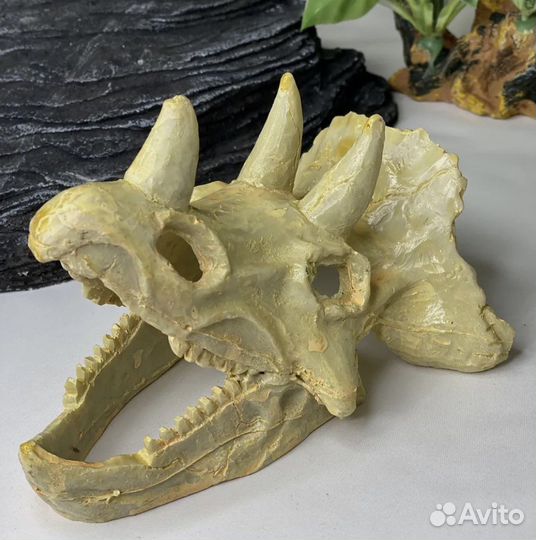 Череп / декорация для аквариума / грот