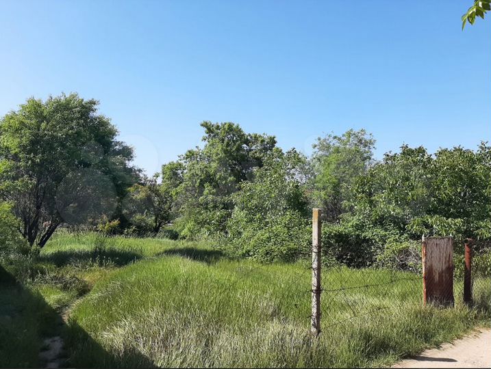 Участок 10 сот. (СНТ, ДНП)