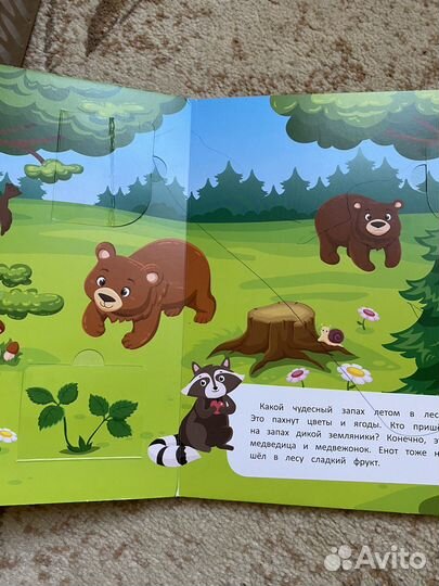 Феникс премьер книги с окошками, фикс прайс