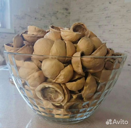 Скорлупа грецкого ореха