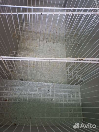 Морозильный ларь