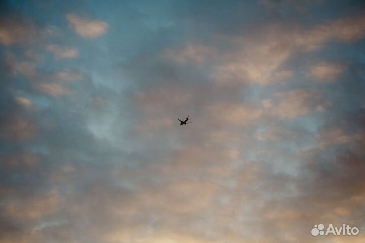 Canon 5D mark III + 50mm 1.4 + 75-300 + рюкзак