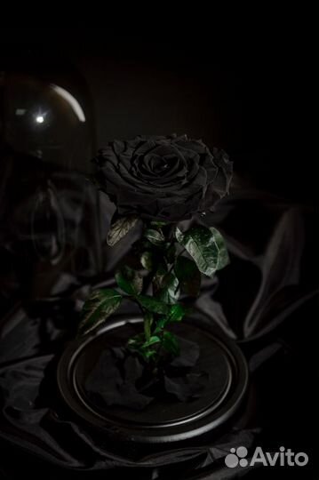 Роза в колбе - подарок для девушки