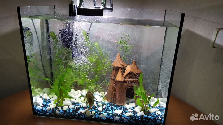Аквариум. Продаю в связи с переездом