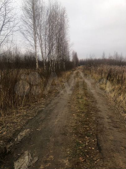 Участок 4,7 га (СНТ, ДНП)