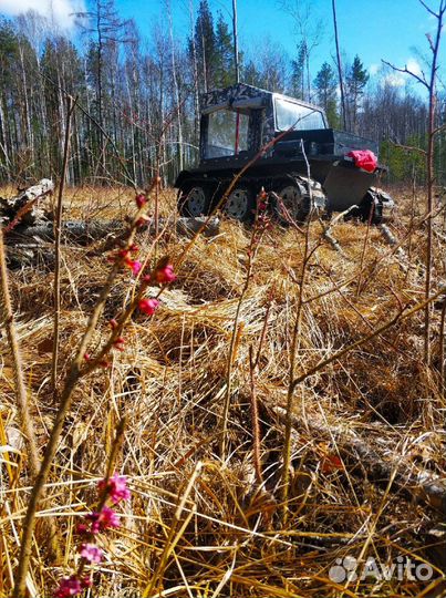 Вездеход гусеничный борус экстрим