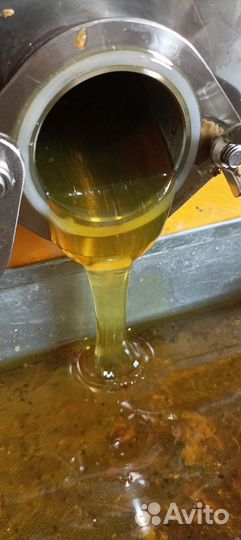 Мед (майский)