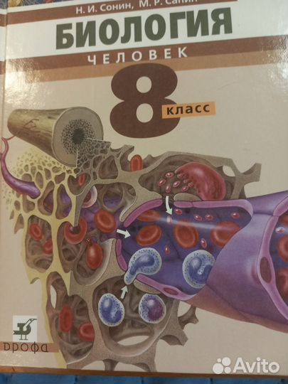 Учебник биология человек 8 класс Сонин Н.И