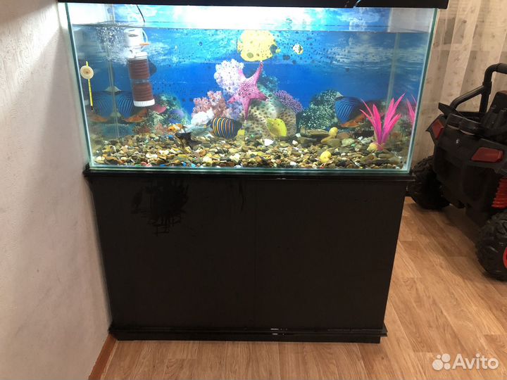 Аквариум с тумбой 200 литров