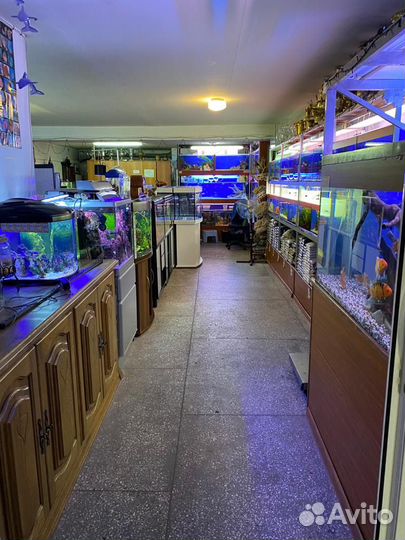 Аквариумный магазин