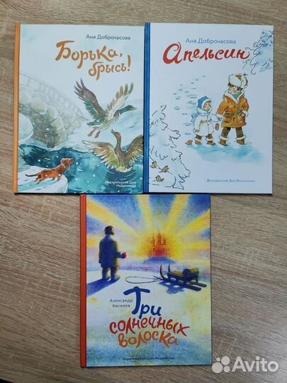 Софья Прокофьева, Аня Доброчасова