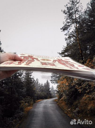 Большой атлас анатомии человека