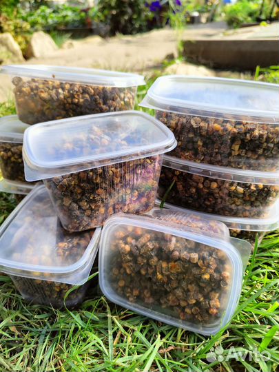 Перга пчелиная