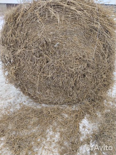 Солома в рулонах 2024 год