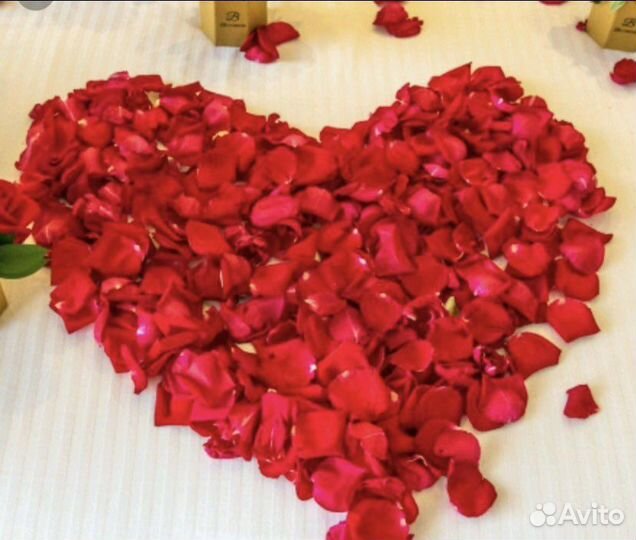Лепестки красных роз