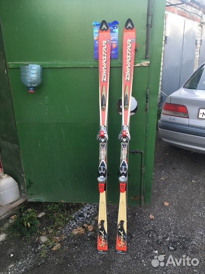 Горные лыжи