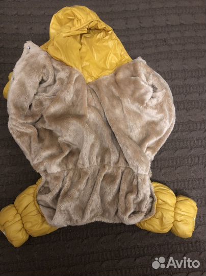 Одежда для средних собак