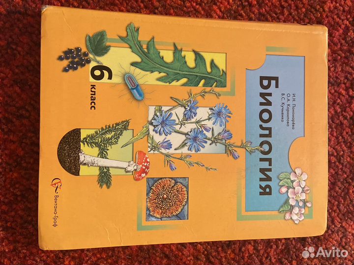 Учебник по биологии 6 класс