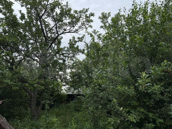 Дом 55,3 м² на участке 4,9 сот.