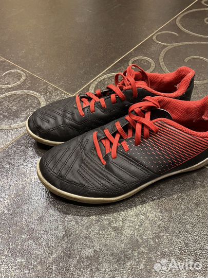 Фудзалки сороконожки