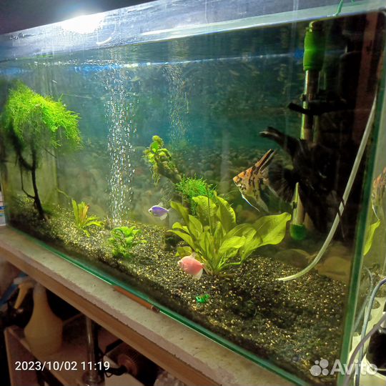 Аквариум с тумбой