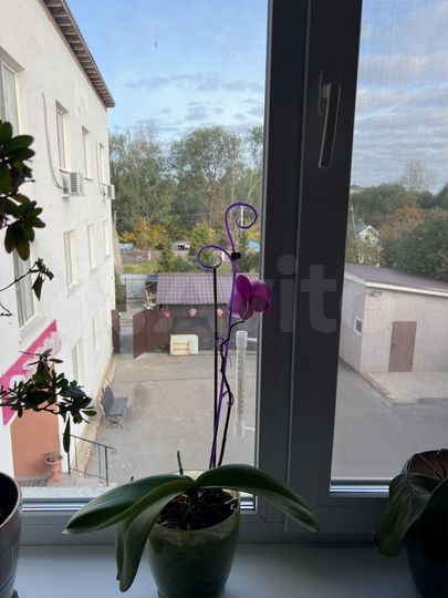 Свободного назначения, 350 м²