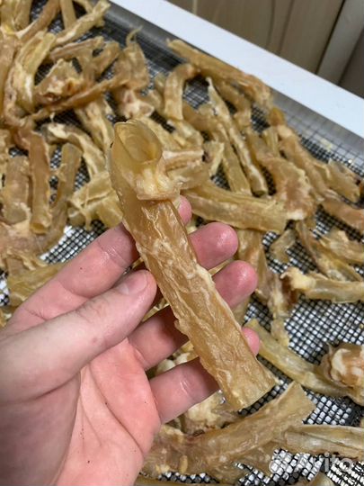 Лакомства для собак