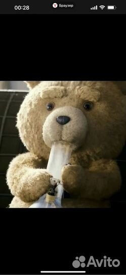 Мишка из кинофильма