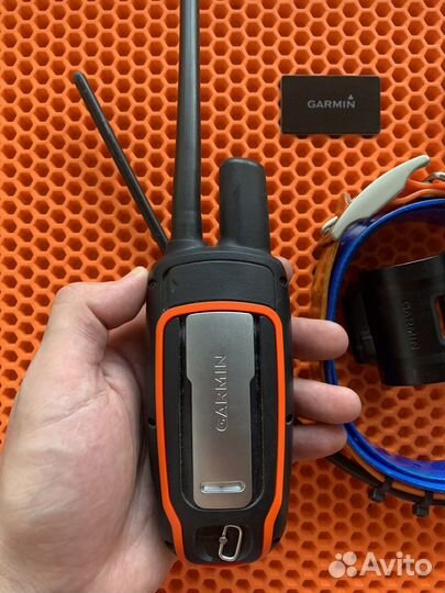 Навигатор Garmin Astro 320 с ошейником DC 40 (USA)