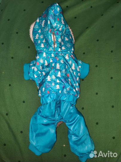 Одежда для маленьких собак