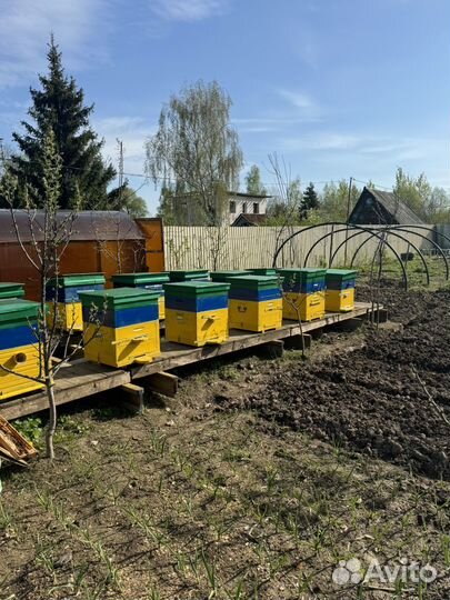 Ульи для пчел