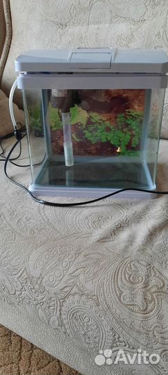 Аквариум