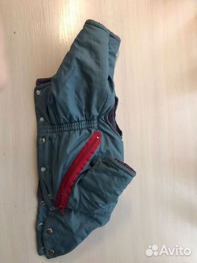 Обувь, куртка для йорка