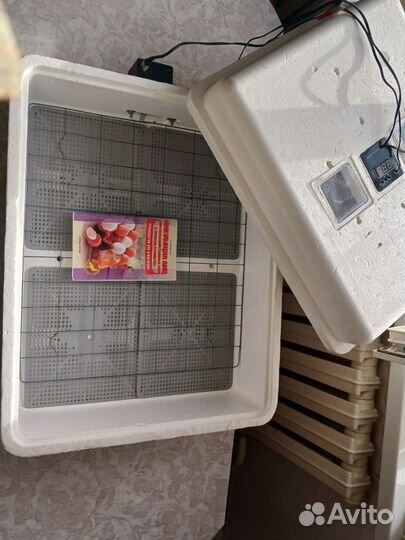 Инкубатор бытовой 