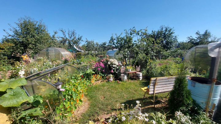 Дом 20 м² на участке 4 сот.