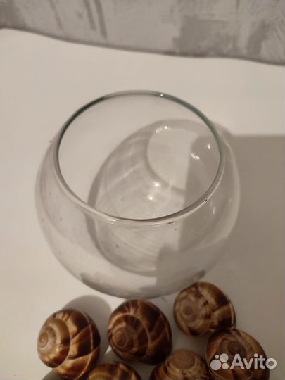 Стеклянная ваза