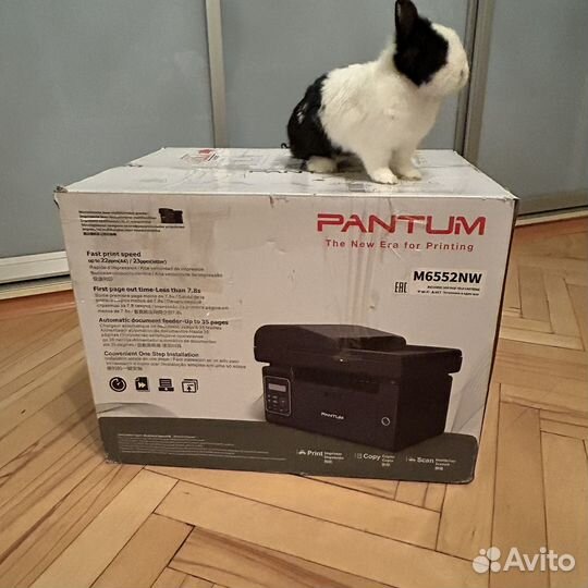 Принтер pantum m6552nw