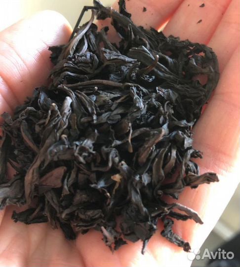 Чаëк из Китая (Чен Хун)