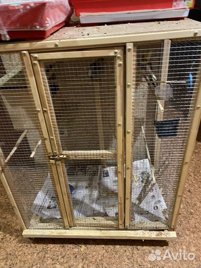 Корелла (пара)