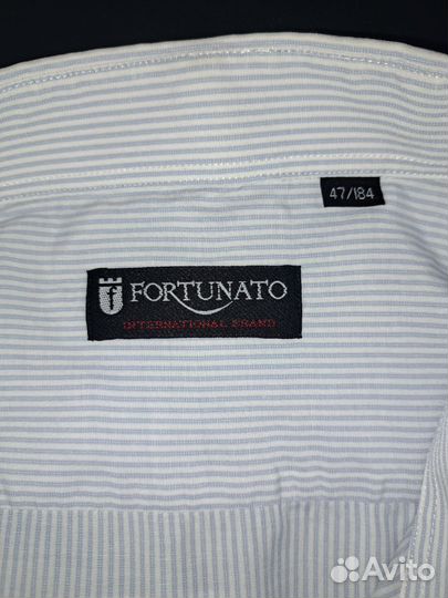 Рубашка мужская fortunato