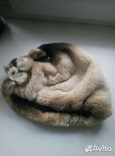 Берет женский стриженый бобер