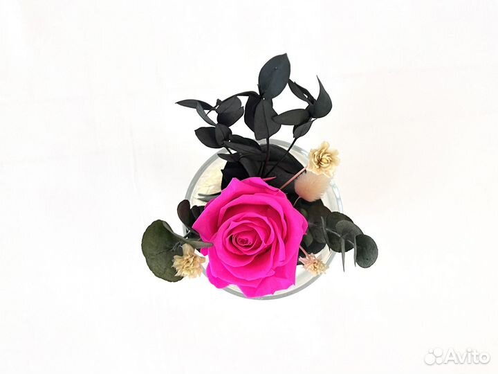 Комплимент в стаканчике Стабилизированные цветы