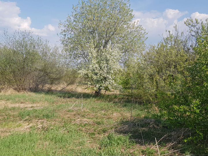 Участок 6 сот. (ИЖС)