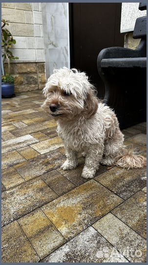 Краснодарская тротуарная плитка