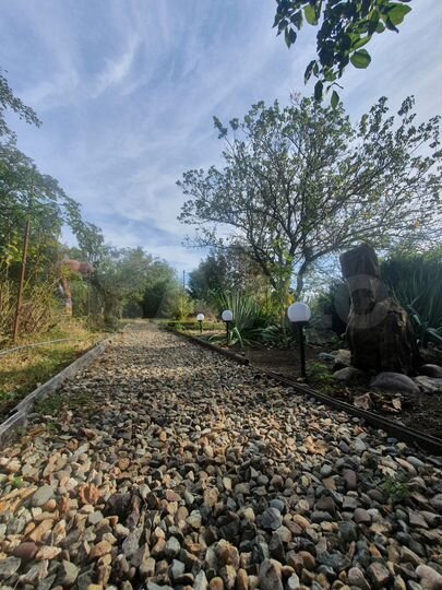 Участок 6 сот. (СНТ, ДНП)